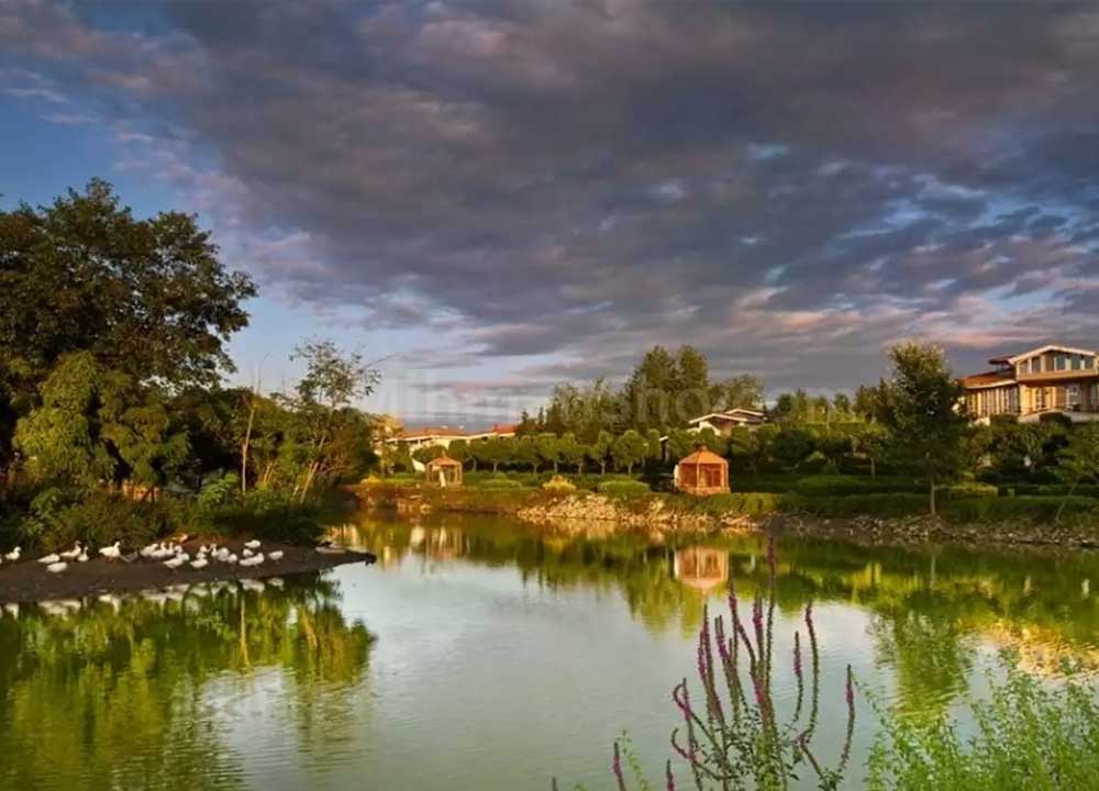تالاب عینک دومین مرداب بزرگ گیلان و از بهترین جاهای دیدنی رشت در بهار و تابستان