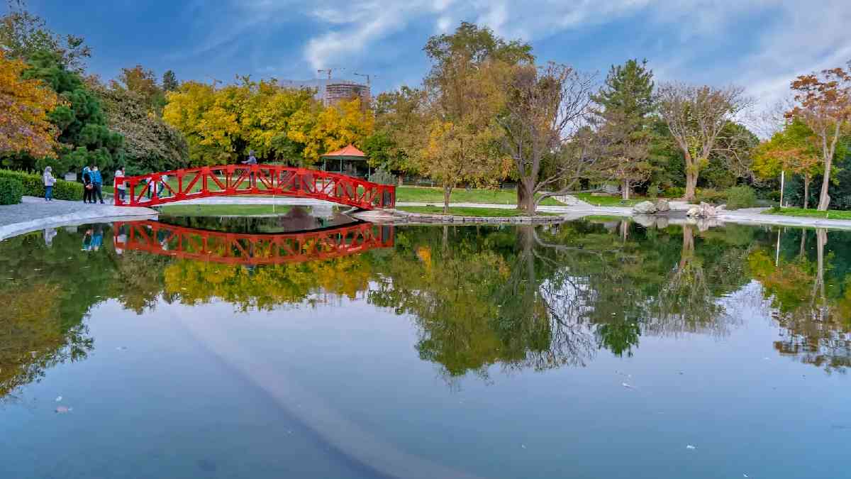 باغ گیاه شناسی ملی ایران؛ راهنمای کامل بازدید، قیمت بلیط و مسیرهای دسترسی