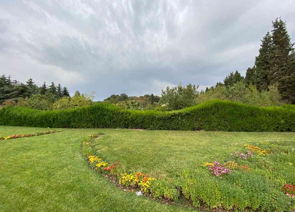نمایی از چمنزار سبز و افق آسمان در باغ گیاه شناسی ملی ایران