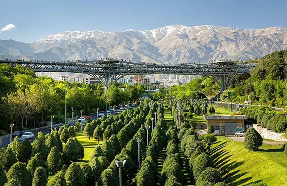 پل طبیعت در بهار از نمای آزادراه