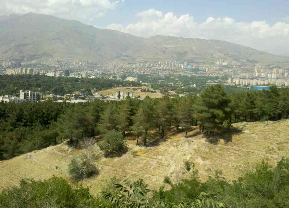 نمای بالا از منظره سبز پارک جنگلی لویزان بهعنوان یکی از جاهای دیدنی شرق تهران