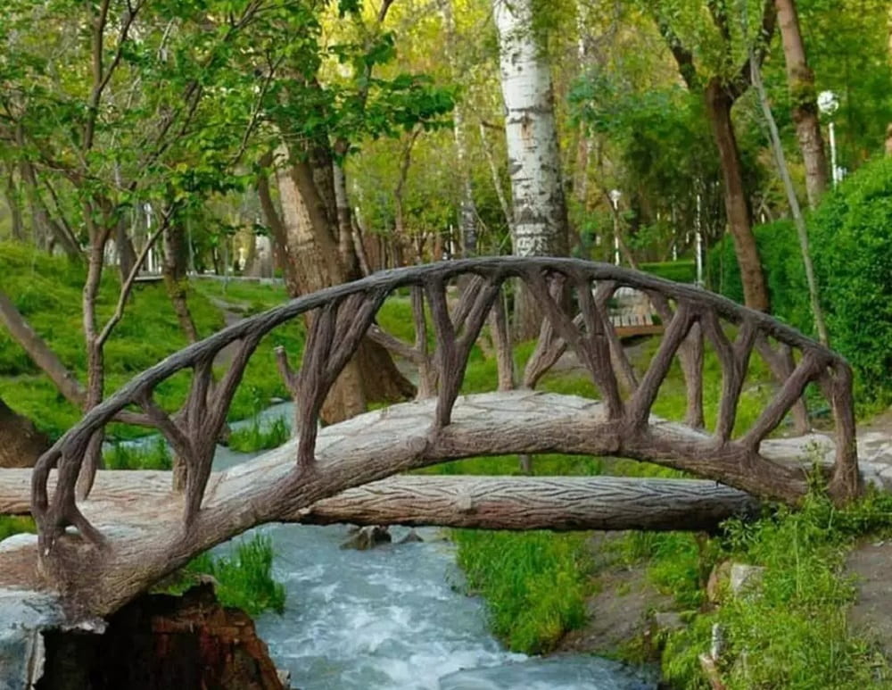 نمایی از فضای سرسبز پارک جنگلی وکیل آباد مشهد