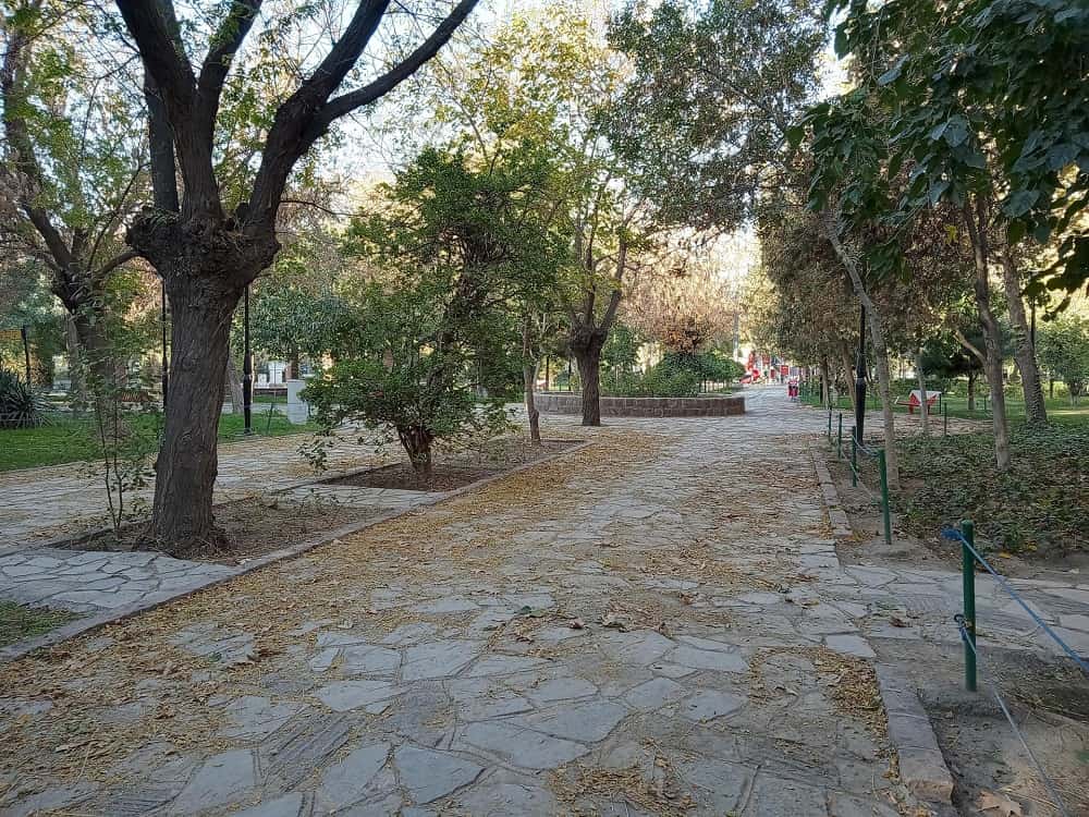 نمایی از درختان سرسبز پارک میرزا کوچک خان مشهد