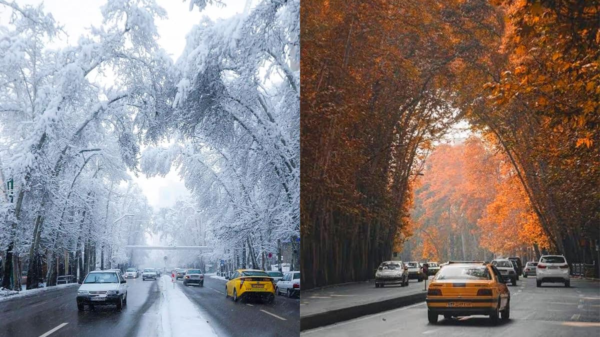 جاهای دیدنی تهران در پاییز و زمستان؛ از برگ‌ریزان تا برف‌بازی (راهنمای کامل)