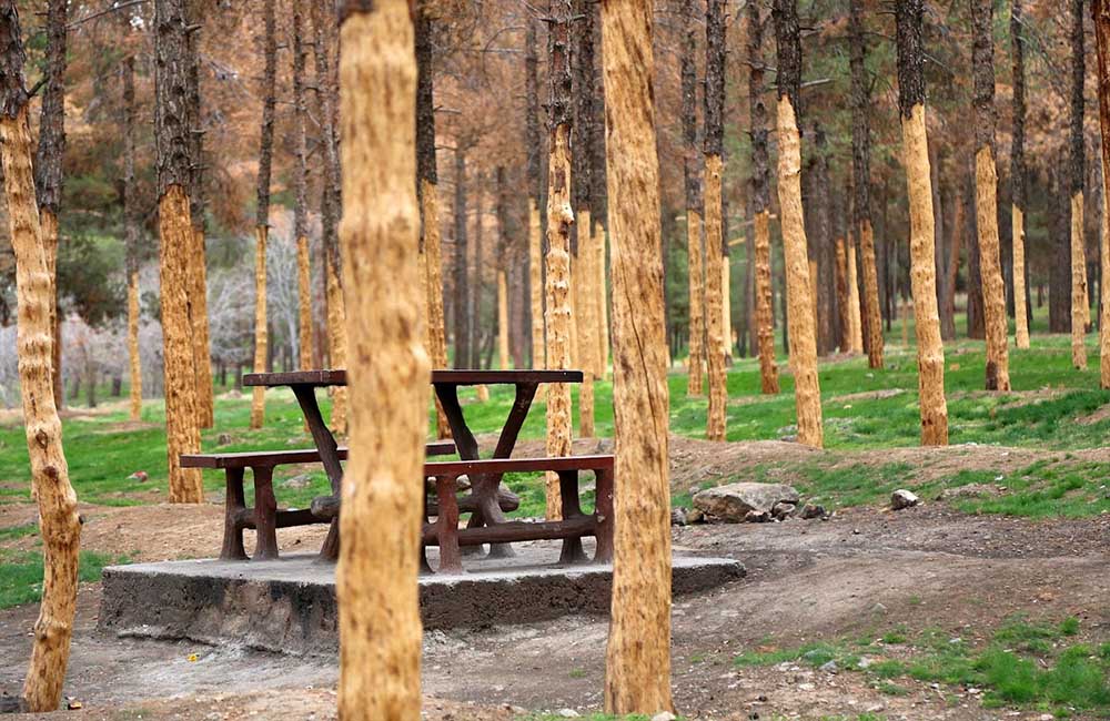 پارک ملی سرخه حصار