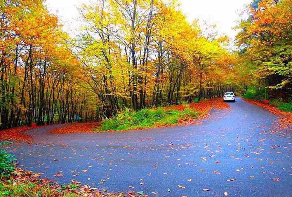 نمای پاییزی پارک جنگلی سراوان در رشت