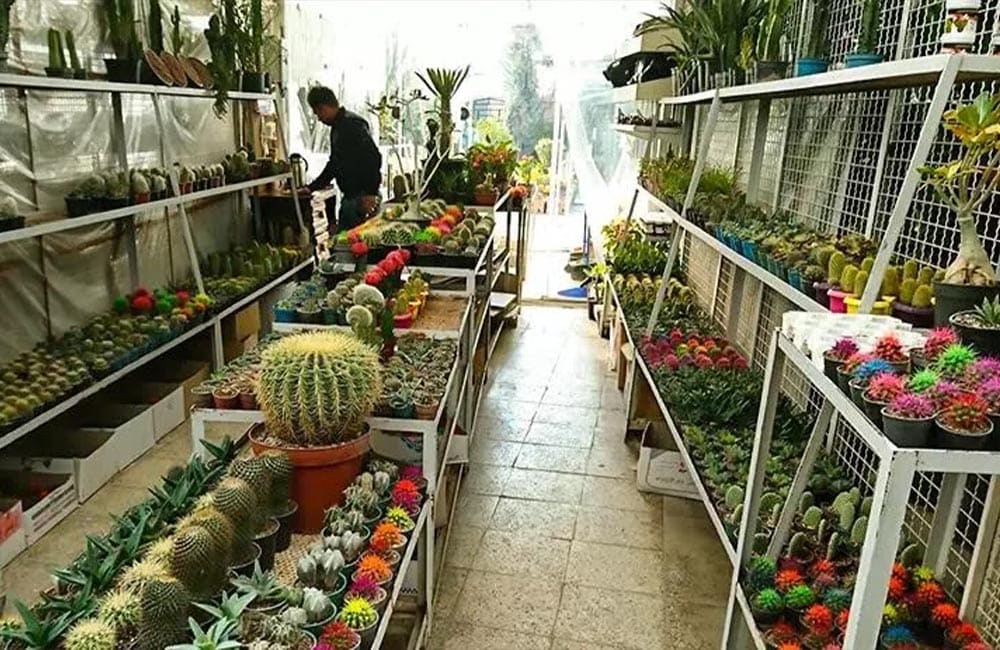 نمای داخلی بازار گل محلاتی