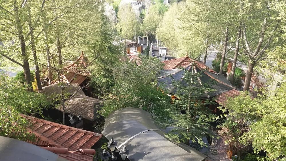 نمایی از درختان سرسبز جاغرق زیر آفتاب تابستان