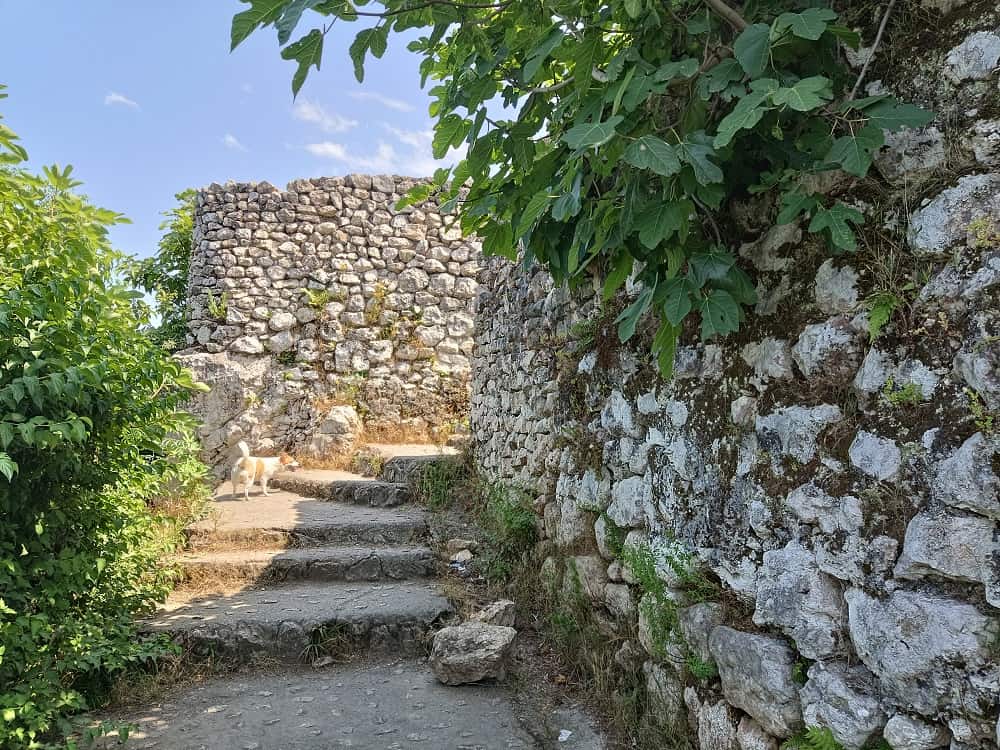 نمایی از دیوارههای سنگی قلعه مارکوه رامسر در فصل بهار