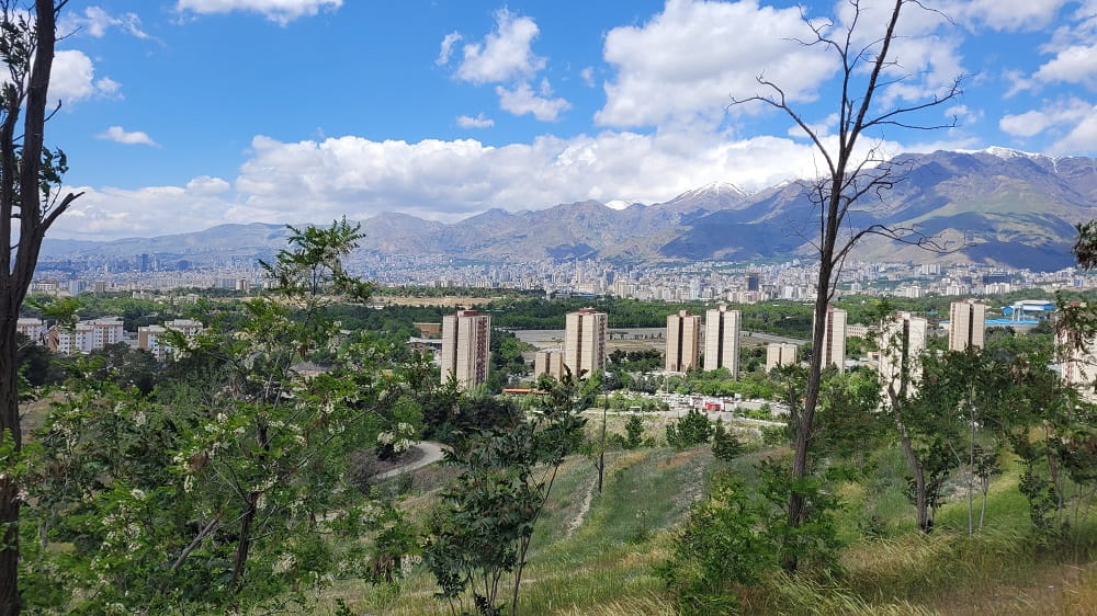 نمایی از مسیرهای پیاده‌روی پارک جنگلی لویزان تهران