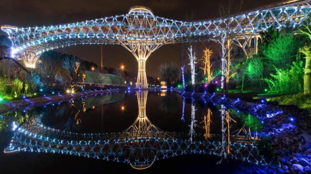 پل طبیعت در شب