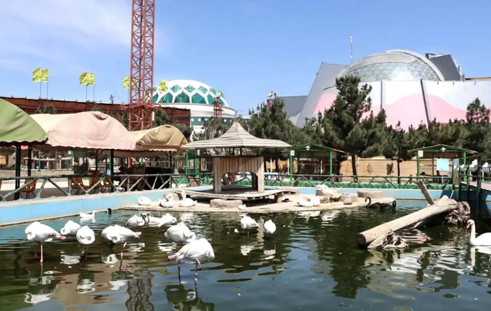 قسمتی از باغ پرندگان مشهد