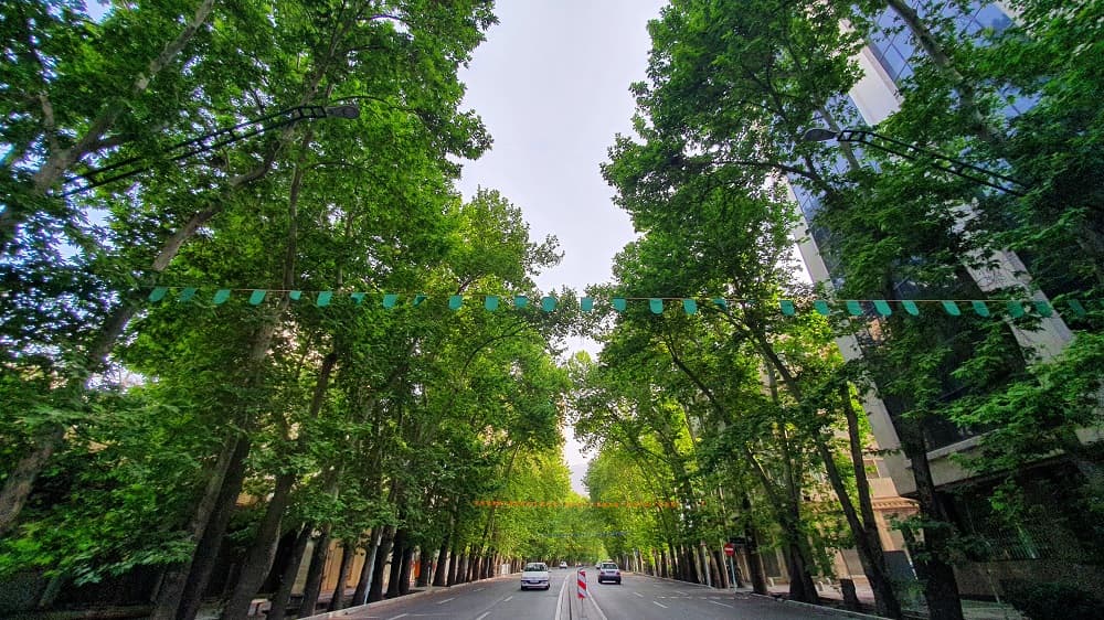 نمایی از پیاده‌روی در خیابان ولیعصر تهران در بهار