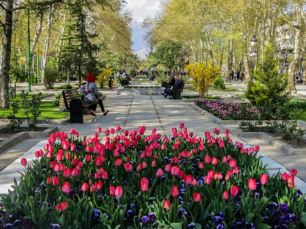 گل‌های لاله در پارک ملت تهران