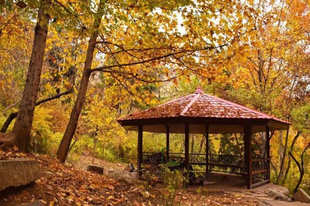طبیعت پاییزی پارک جمشیدیه تهران
