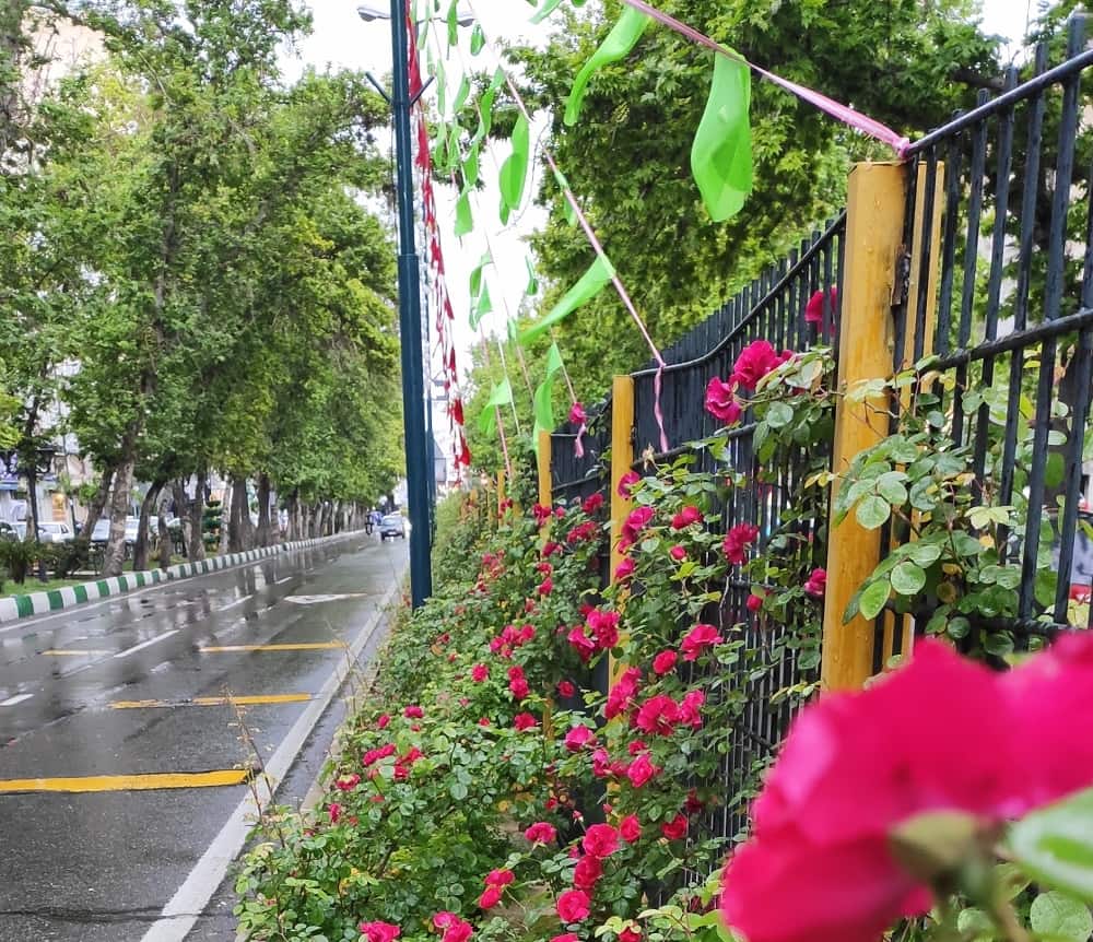 نمایی از مسیر پیاده‌روی زیبای بلوار میرداماد تهران