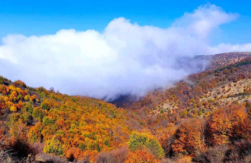 درخت‌های پاییزی بر کوهستان ابری در روستای گرسماسر