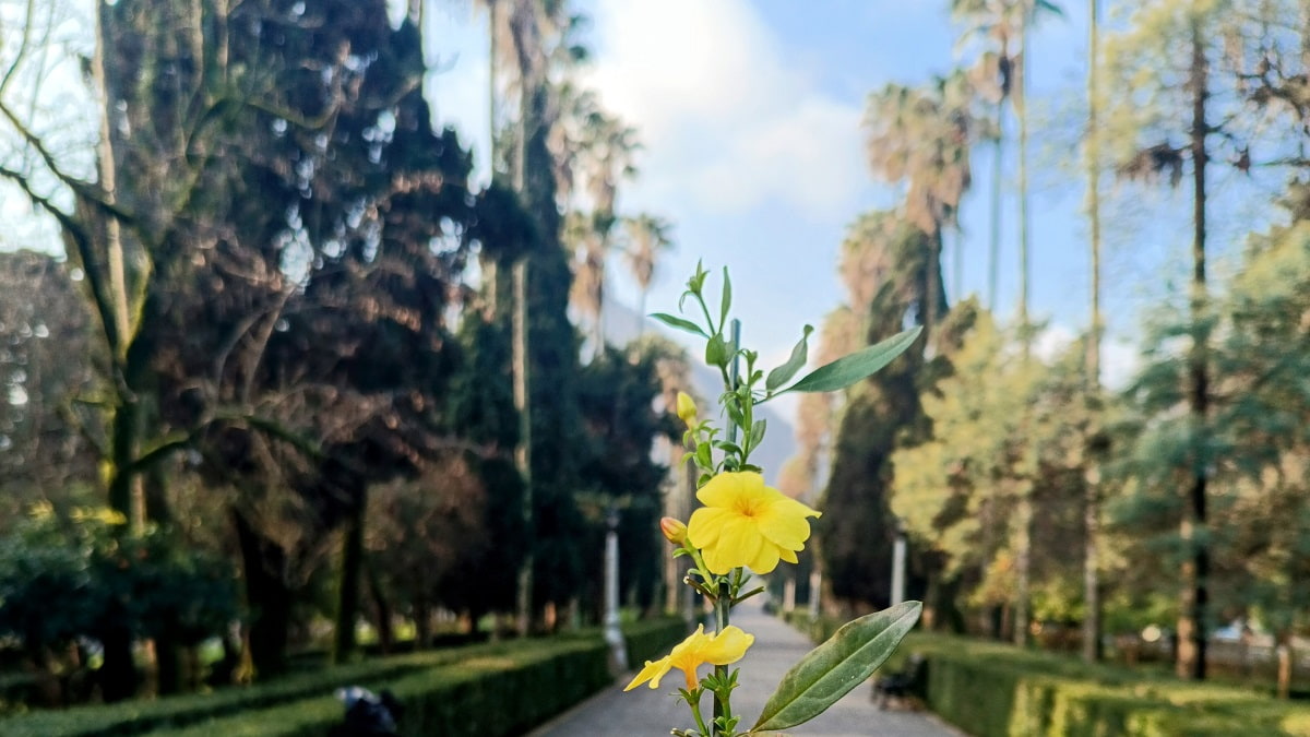 جاهای دیدنی رامسر در بهار؛ راهنمای سفر به بهشت نارنج‌ها