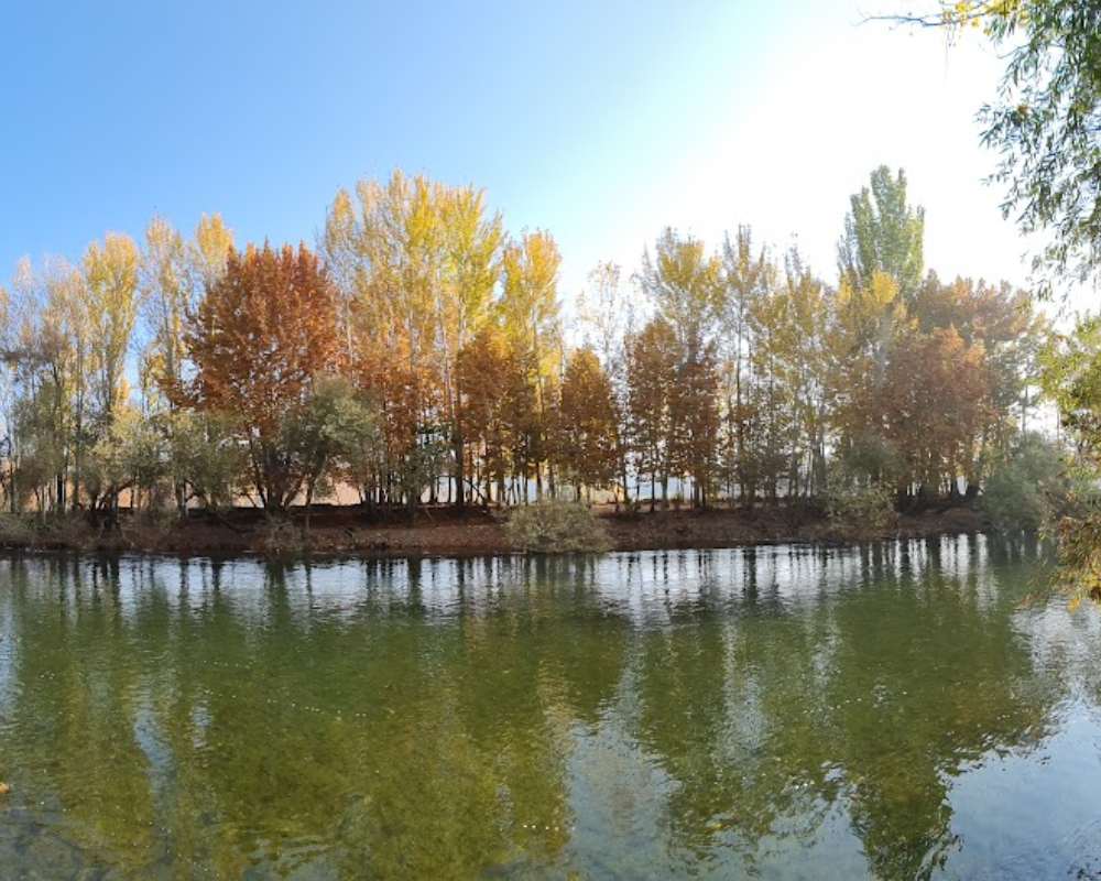 نمای درختان پاییزی در آب باغ بهادران