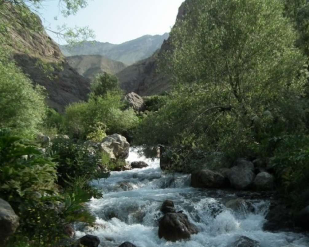 رودخانه و درختان سرسبز در کوههای فشم تهران
