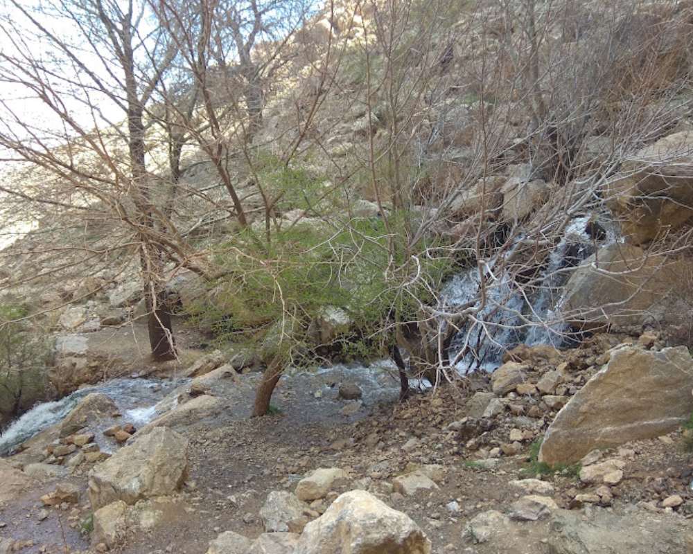 نمایی از آبشار شاه لولاک و چند درخت در فصل سرما