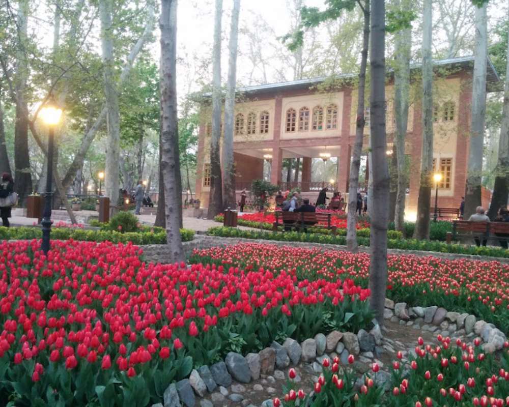 نمای داخلی باغ ایرانی تهران پر از گل های لاله قرمز