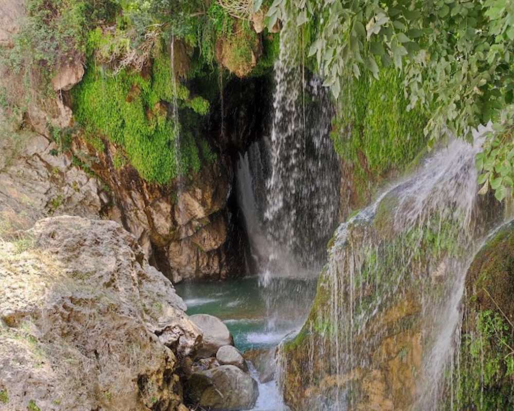 نمایی از آبشار با گیاهان سبزی که از سنگها آویزانند