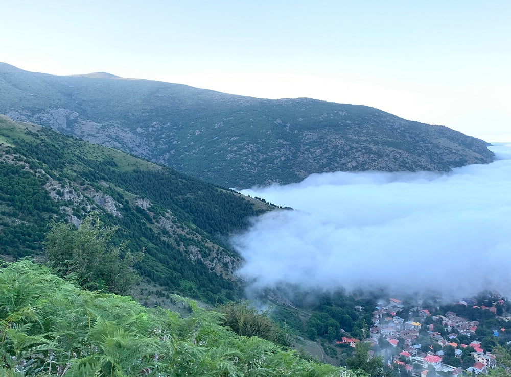 نمایی از منظره سرسبز روستای جواهرده غرق در مه