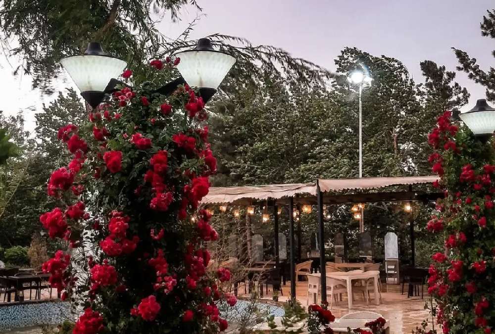 حیاط کافه رستوران فارست لانژ طرقبه مشهد