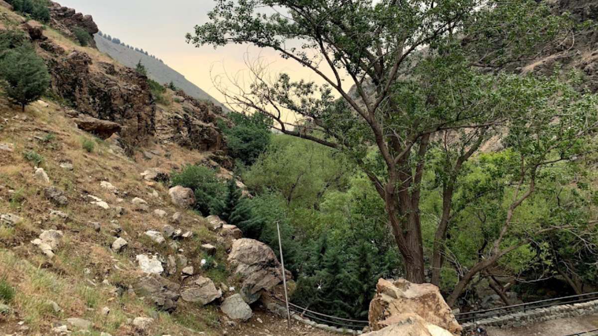 سیر تا پیاز گردش در دارآباد تهران؛ مسیرهای کوهنوردی، موزه و دسترسی