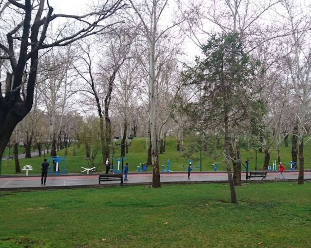مسیر پیاده روی و وسایل ورزشی پارک در پس زمینه فضای سبز