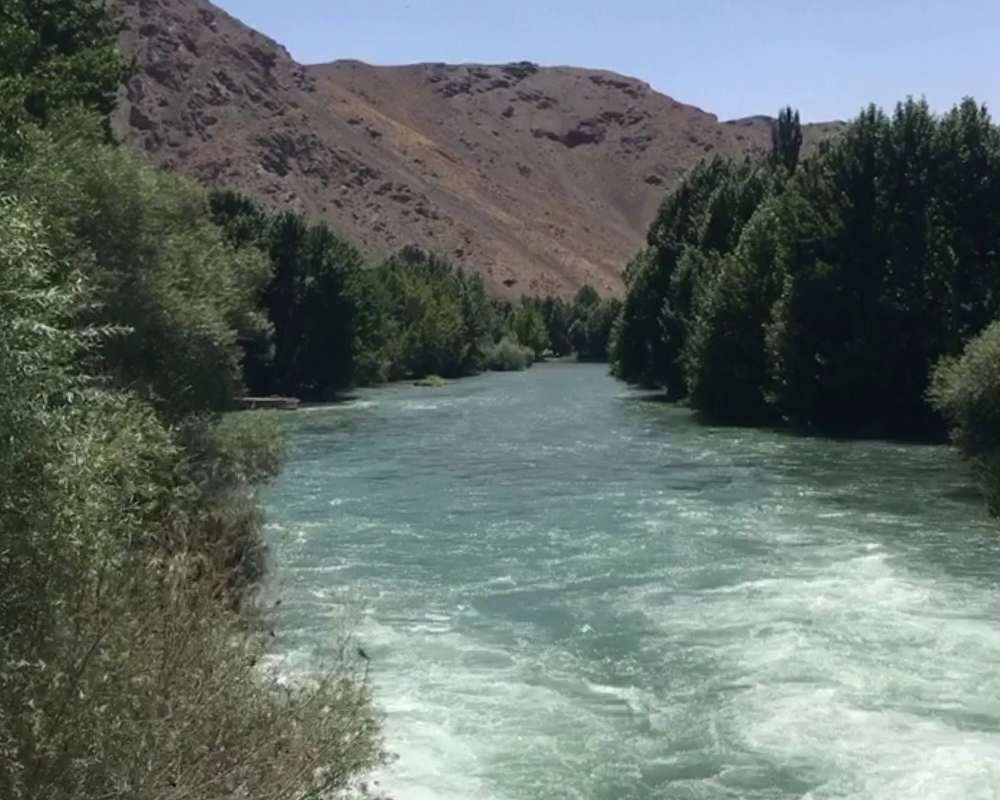 نمای نزدیک زاینده رود با درختان سبز اطراف آن
