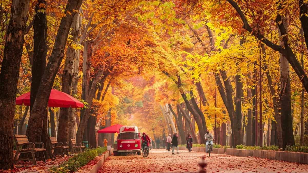 جاهای دیدنی اصفهان در پاییز؛ راهنمای رنگ، نور و بهترین زمان بازدید