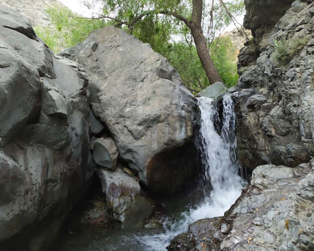 نمای رودخانه ای در دارآباد تهران با پس زمینه درختان سبز