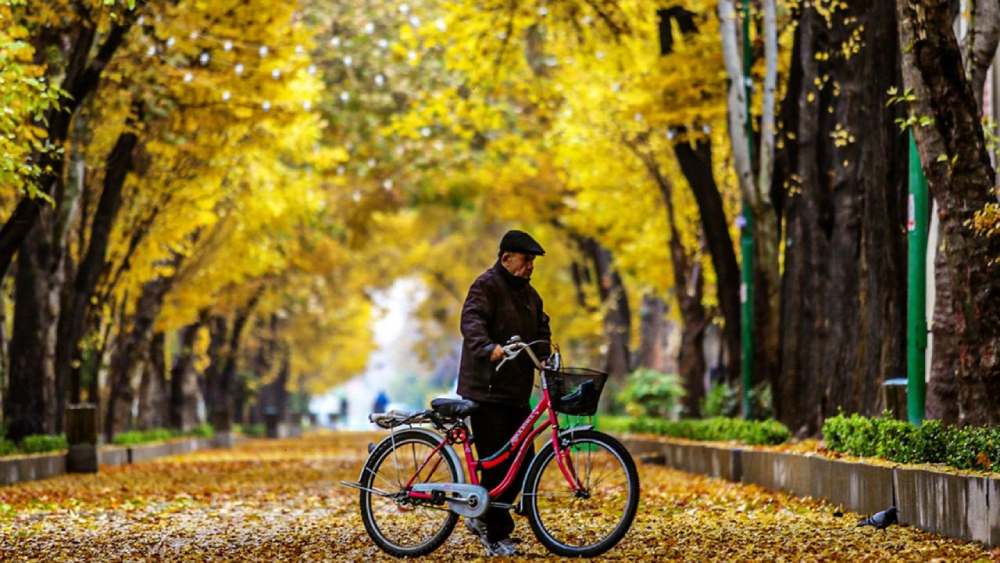 یک مرد مسن با دوچرخه در خیابان چهارباغ اصفهان در پاییز