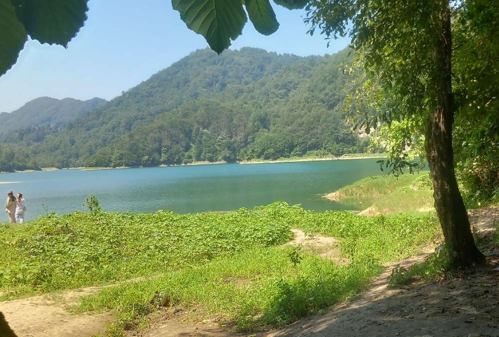 دریاچه سد میجران از جاذبههای اطراف جنگل دالخانی