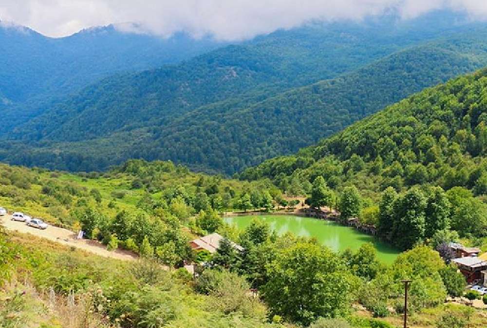 نمایی از جنگل های جواهرده رامسر