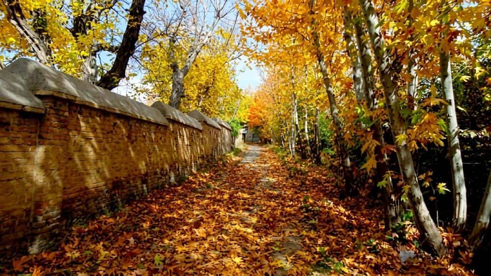 کوچه باغ‌های قصرالدشت شیراز در پاییز
