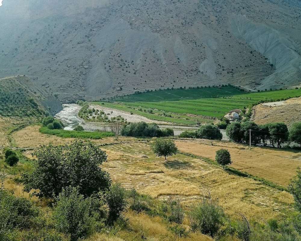نمایی از فضای سبز روستای سیور