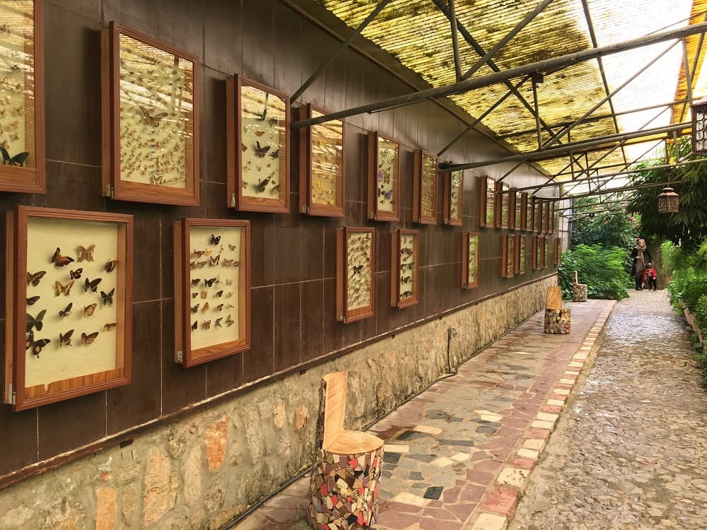 نمایی از داخل موزه باغ پروانه اصفهان