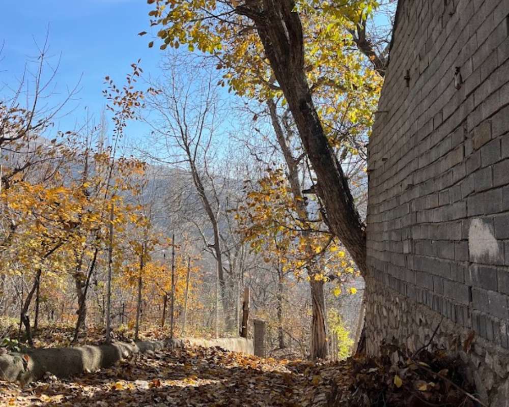 پاییز در کوچه پس کوچه های روستای برگ جهان