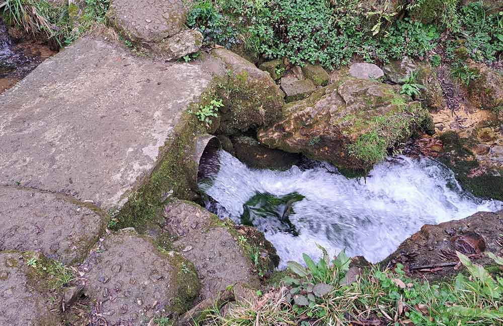 جریان آب در چشمه دمکش