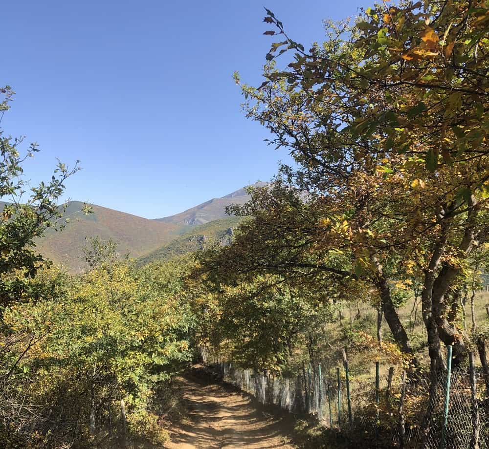 نمایی از طبیعت پاییزی روستای کندلوس نزدیک چالوس