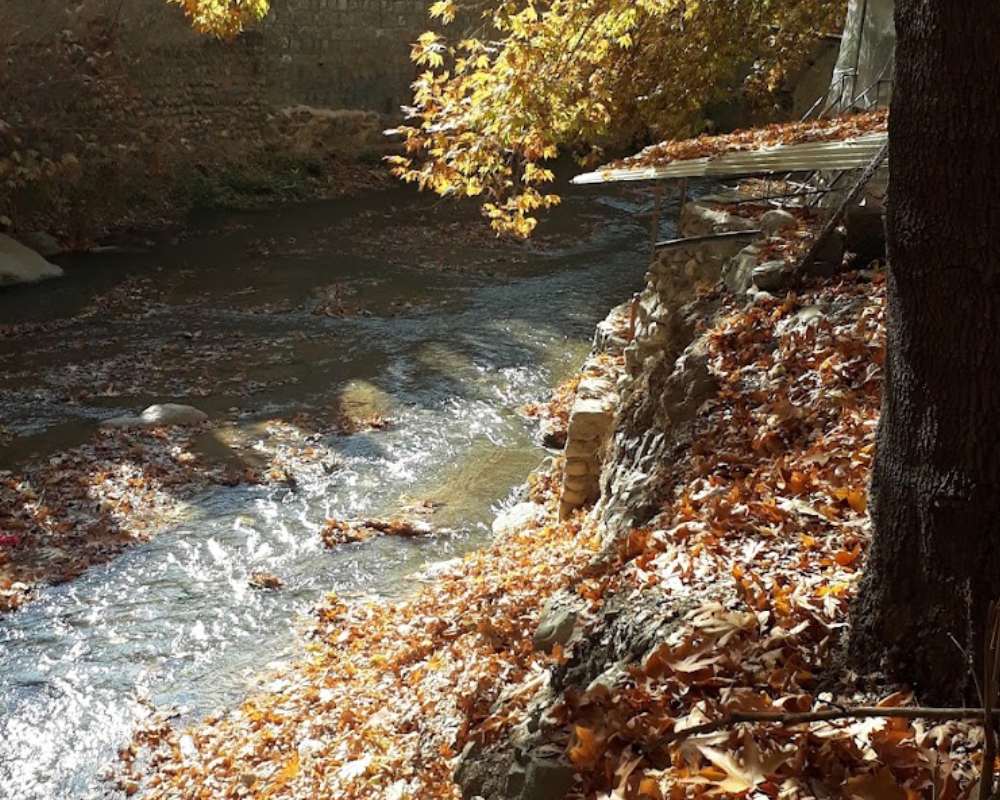 نمایی از اطراف رودخانه پر از برگ پاییزی
