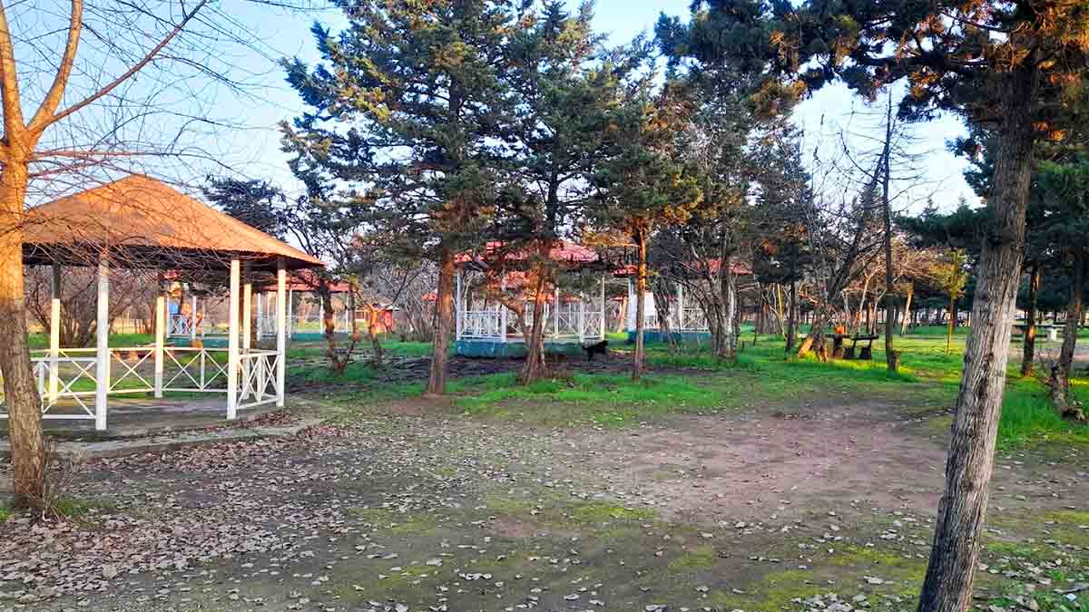 پارک جنگلی بندر انزلی؛ راهنمای کامل بازدید، آدرس و امکانات