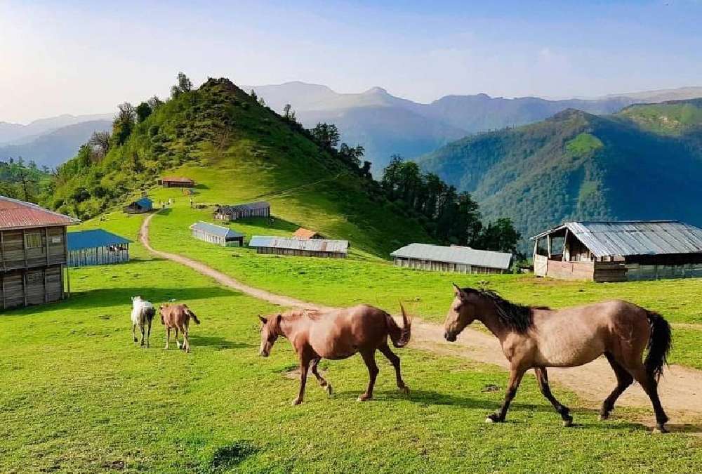 ییلاق اسپی دشت از جاهای دیدنی ماسال
