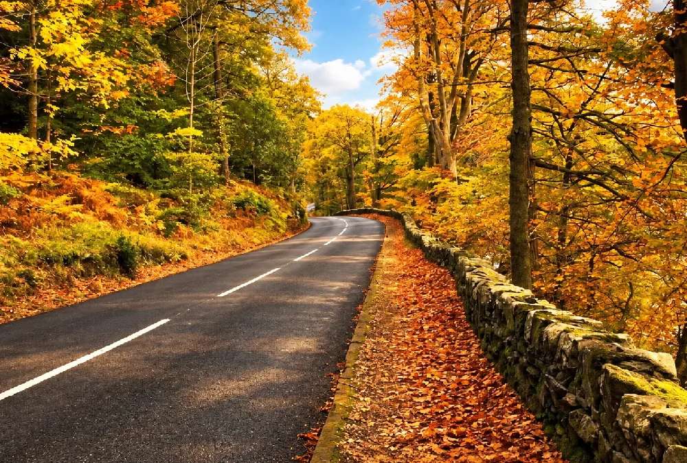 جاده پاییزی در جنگل های ماسال