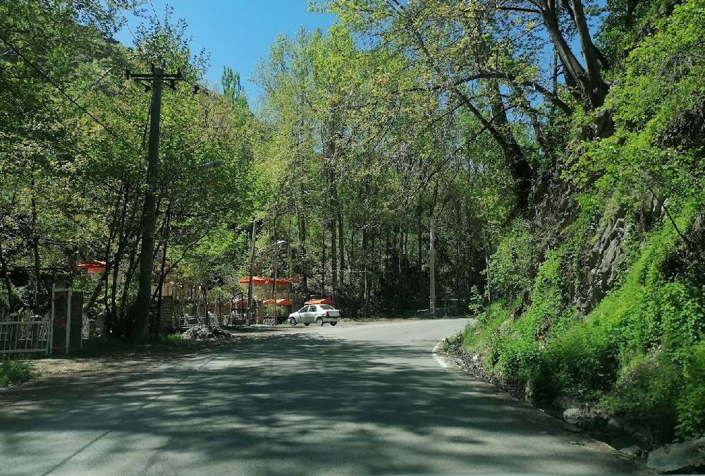 مسیر جاده جنگلی روستای زشک در بهار