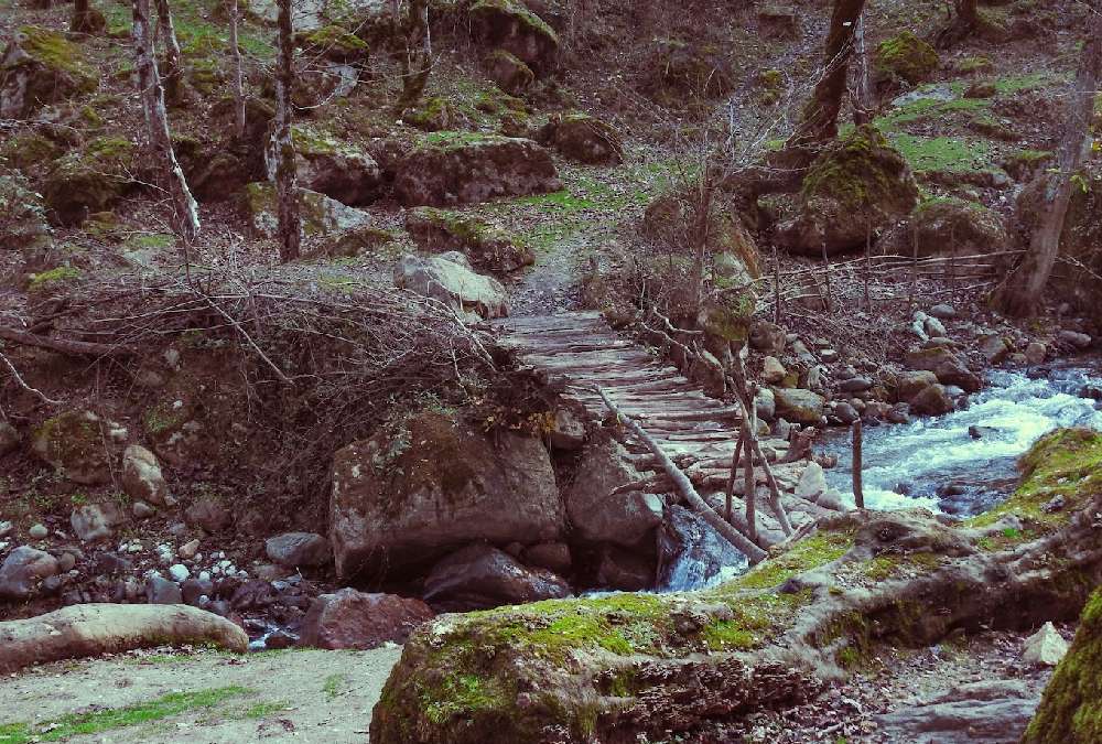 اسب ریسه از جاهای دیدنی ماسال