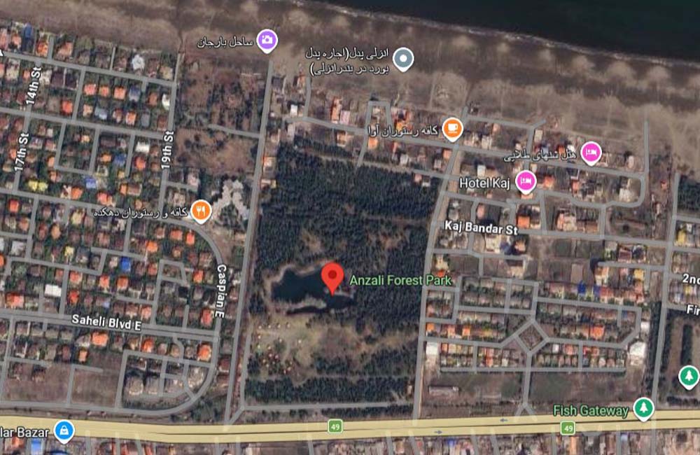 anzali-forest-park-shown-on-google-map.JPG